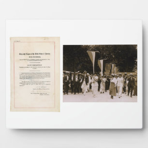 ORIGINAL 19th Amendment U.S. Constitution Plaque