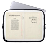 ORIGINAL 25th Amendment U.S. Constitution