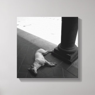 Original art: "a peaceful nap in the shade" canvas print