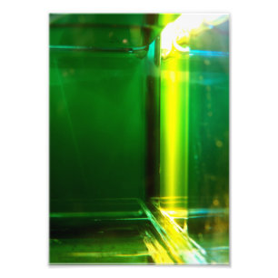 Original art: "light geometry: chlorophyll" photo print