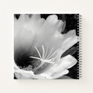 Original art: "Night blooming Cereus" Notebook