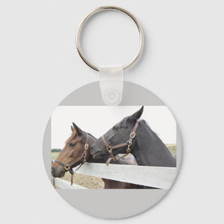 Original Horse Whisperer Key Ring