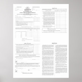 Original Income Tax Form 1040 from 1913 (4) Pages Poster
