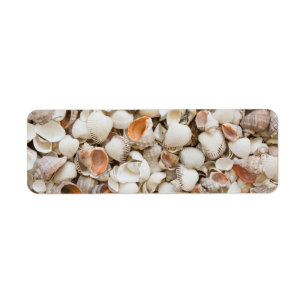 Original nature pattern Seashell style background