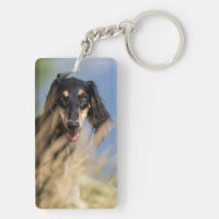 Original Poem & Pet Photo Blue