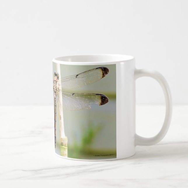 Original poem & photo coffee mug (Right)