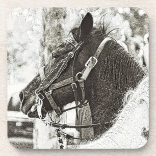 Original stylized black & white graphic art horse coaster