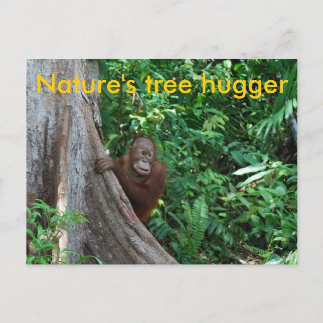 Original Tree Hugger Borneo Nature Postcard (Front)