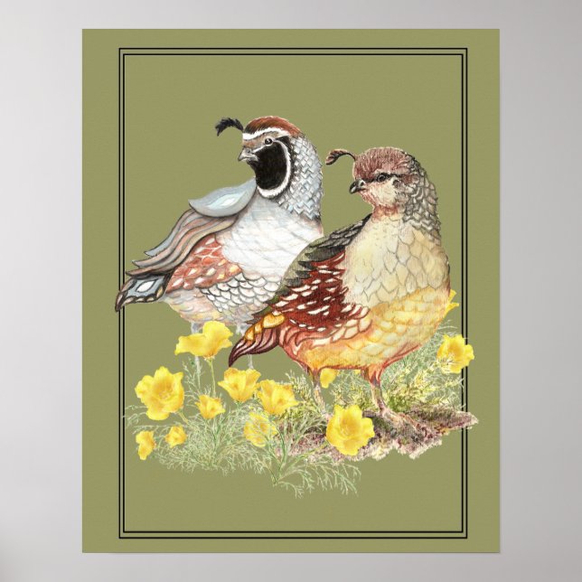 Original Watercolor California Quail Male & Female Poster (Front)