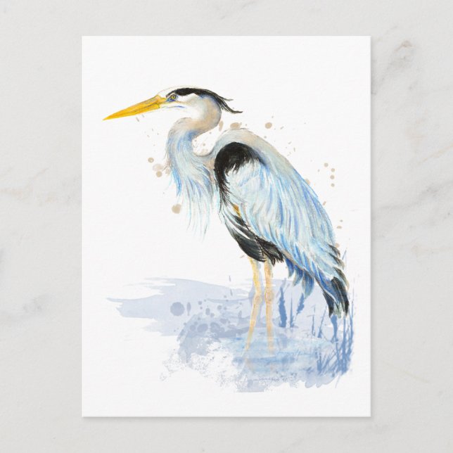 Original watercolor Great Blue Heron Bird Postcard (Front)