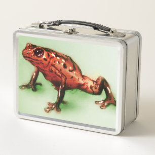 Orignal vintage art metal lunch box - Frog