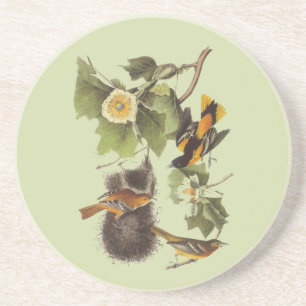 Oriole Audubon Birds Vintage Art Coaster