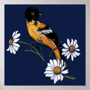 Oriole Bird Daisy Flower Nature Art                Poster