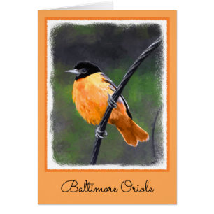 Oriole Painting - Original Bird Art