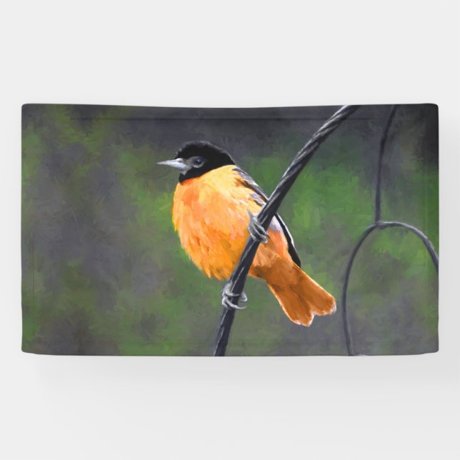 Oriole Painting - Original Bird Art Banner (Horizontal)