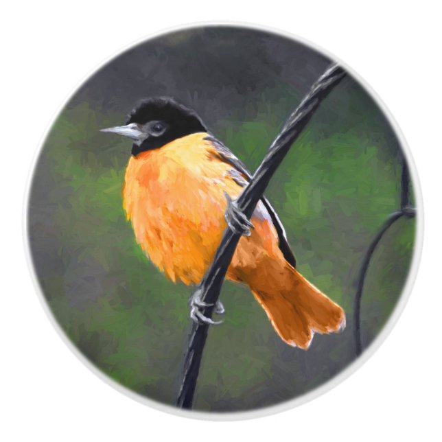 Oriole Painting - Original Bird Art Ceramic Knob (Front)