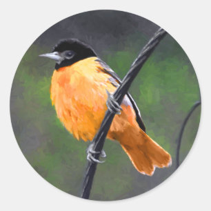 Oriole Painting - Original Bird Art Classic Round Sticker