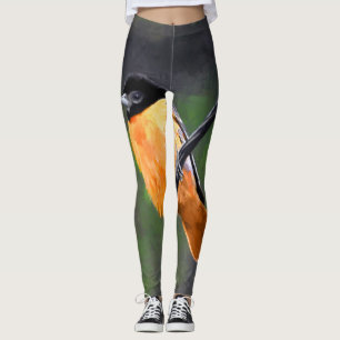 Oriole Painting - Original Bird Art Leggings