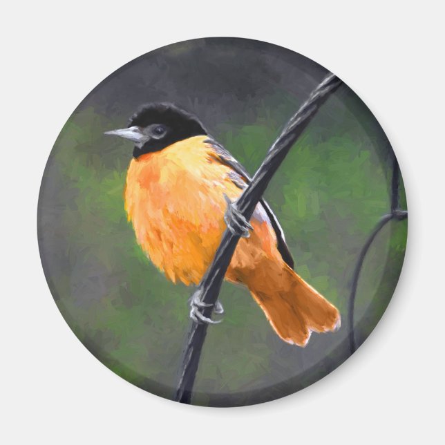 Oriole Painting - Original Bird Art Magnet (Front)