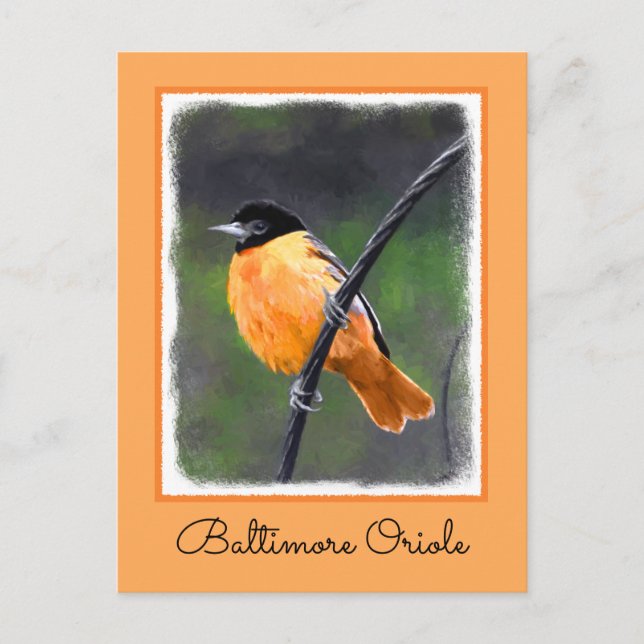 Oriole Painting - Original Bird Art Postcard (Front)