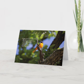 Oriole sympathy card