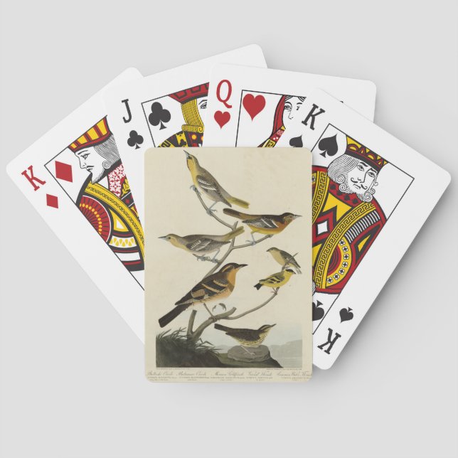 Orioles, Thrushes, from Audubon's Birds of America Playing Cards (Back)