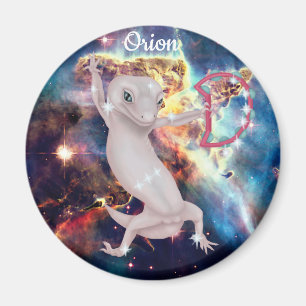 Orion Magnet