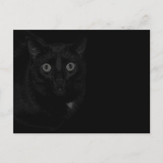 Orion My Cat BlackOut Postcard