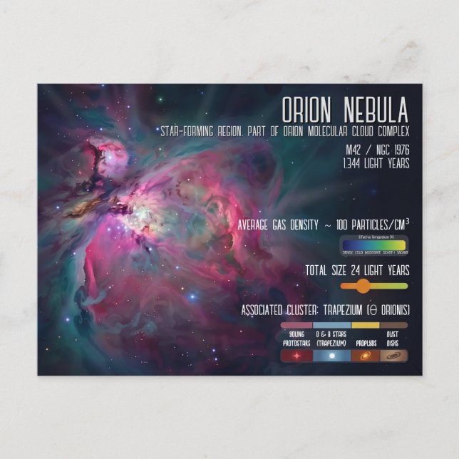 Orion Nebula Space Infographic Star Formation Postcard (Front)