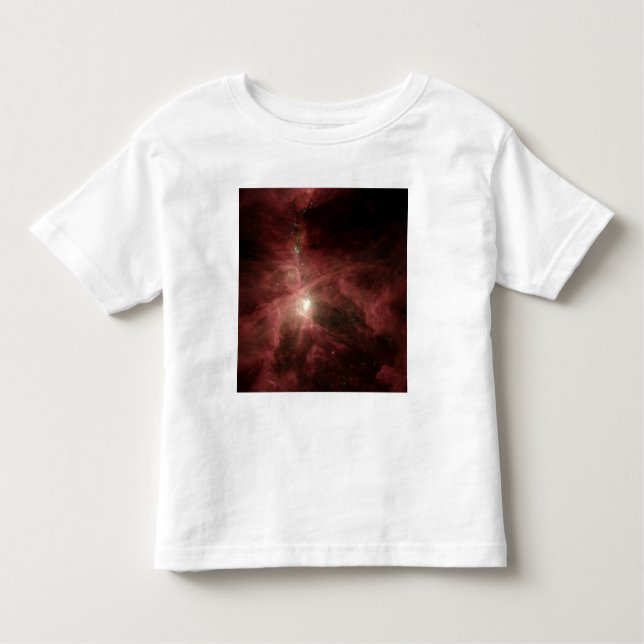 Orion's Inner Beauty Toddler T-Shirt (Front)