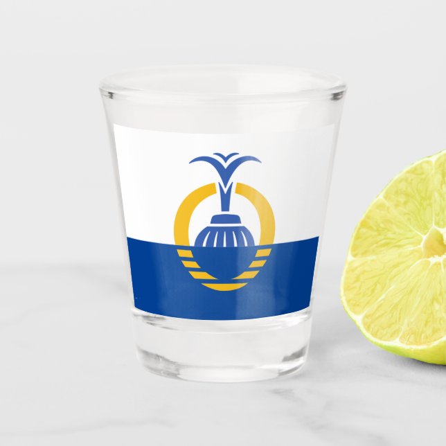 Orlando city flag shot glass (Front)