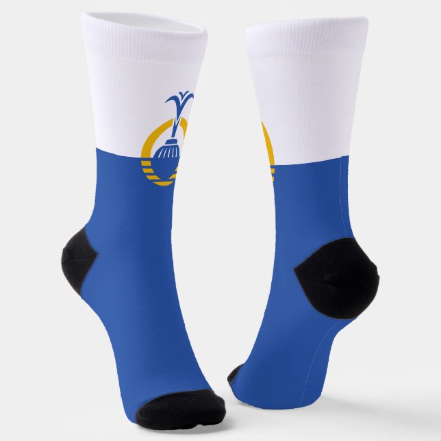 Orlando (Florida) city flag Socks (Angled)