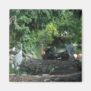 Orlando Florida Magnet