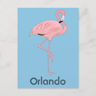 Orlando Florida Pink Flamingo Postcard