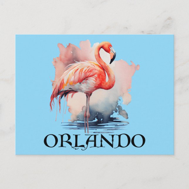 Orlando Florida Pink Flamingo Postcard (Front)