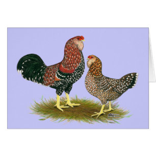 Orloff: Spangled Pair