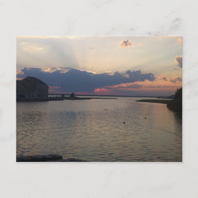 Orltey Beach bayfront Postcard (Front)