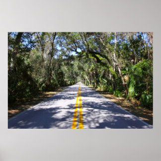 Ormond Beach Loop Poster