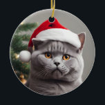 Ornament<br><div class="desc">Cute  blue/grey British shorthair cat wearing a Santa hat.</div>
