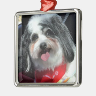 Ornament, Christmas, Dog K-Cee Red Metal Tree Decoration