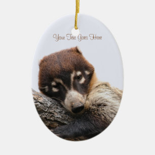 Ornament: Coatimundi #4 (Oval) Ceramic Tree Decoration