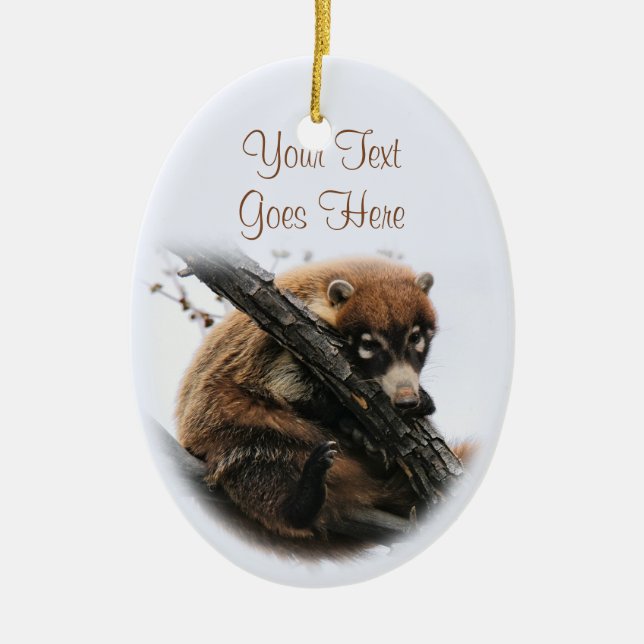 Ornament: Coatimundi #5 (Oval) Ceramic Tree Decoration (Front)