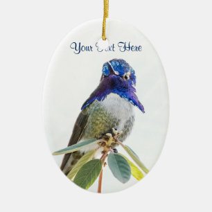 Ornament: Costa's Hummingbird (Oval) Ceramic Tree Decoration