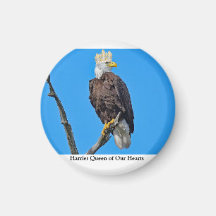 Ornament Magnet