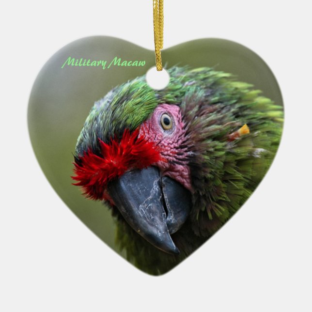 Ornament: Military Macaw (Heart) Ceramic Tree Decoration (Front)