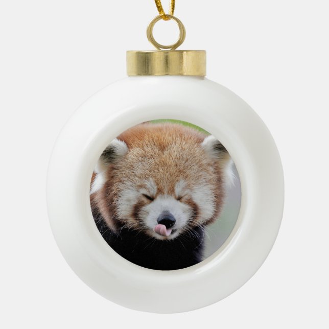 Ornament. noel, red panda. Panda roux. Ceramic Ball Christmas Ornament (Front)