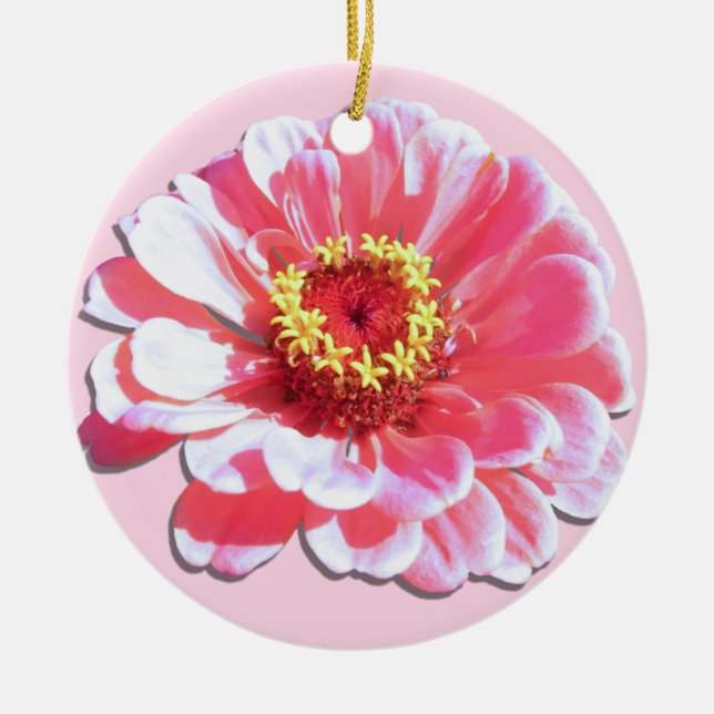 Ornament - Pink Zinnia (Front)