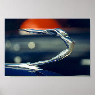 ornament poster