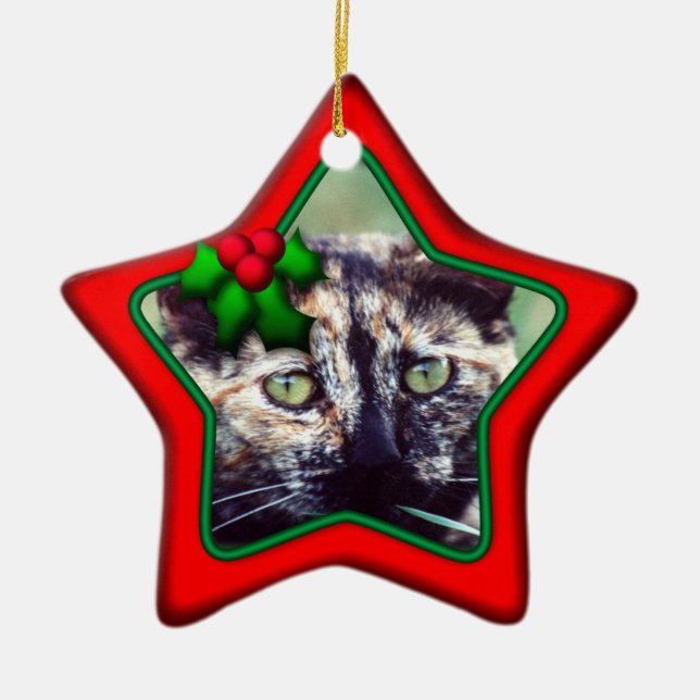 Ornament, Star, Double Sided Photo Ceramic Tree Decoration (Front)