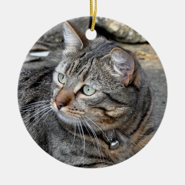 Ornament: Tabby cat Ceramic Tree Decoration (Front)